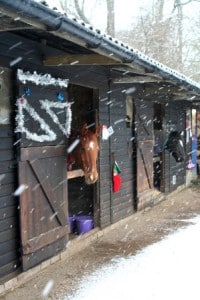Christmas preparations at Digswell RDA