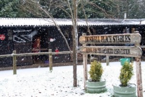 Digswell Place in the snow