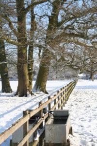 Digswell RDA in the snow