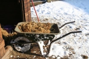 Working hard at Digswell Place RDA