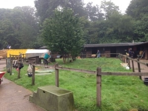 Clearing out the old stables