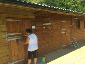 Roche Volunteer Day 2 Sept 2016